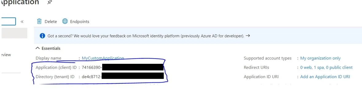 We need the Client ID and Tenant ID